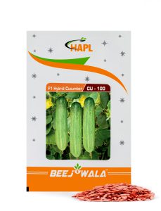 F1 HYBRID CUCUMBER – CU-100