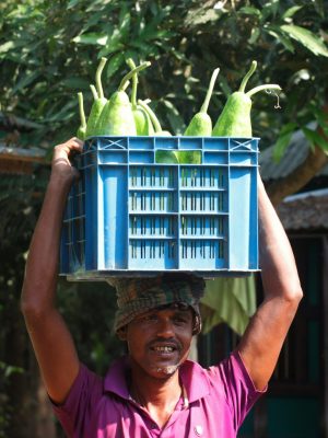 pexels-utpaladhikary-29564621